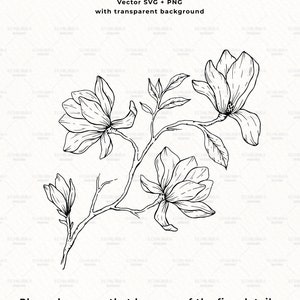 May include: Black and white line drawing of a magnolia flower branch with three blossoms. The image has a transparent background.  Please be aware that because of the fine details, these might not be suitable for using with Cricut at small sizes.