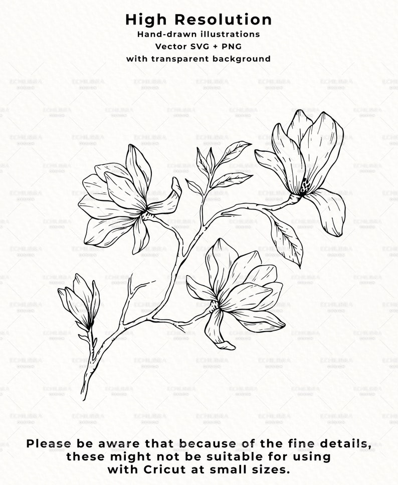 May include: Black and white line drawing of a magnolia flower branch with three blossoms. The image has a transparent background.  Please be aware that because of the fine details, these might not be suitable for using with Cricut at small sizes.