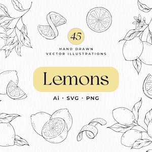 Pacote SVG de limão, limões vetoriais desenhados à mão, clipart de limões, desenhos botânicos de limão, flores cítricas