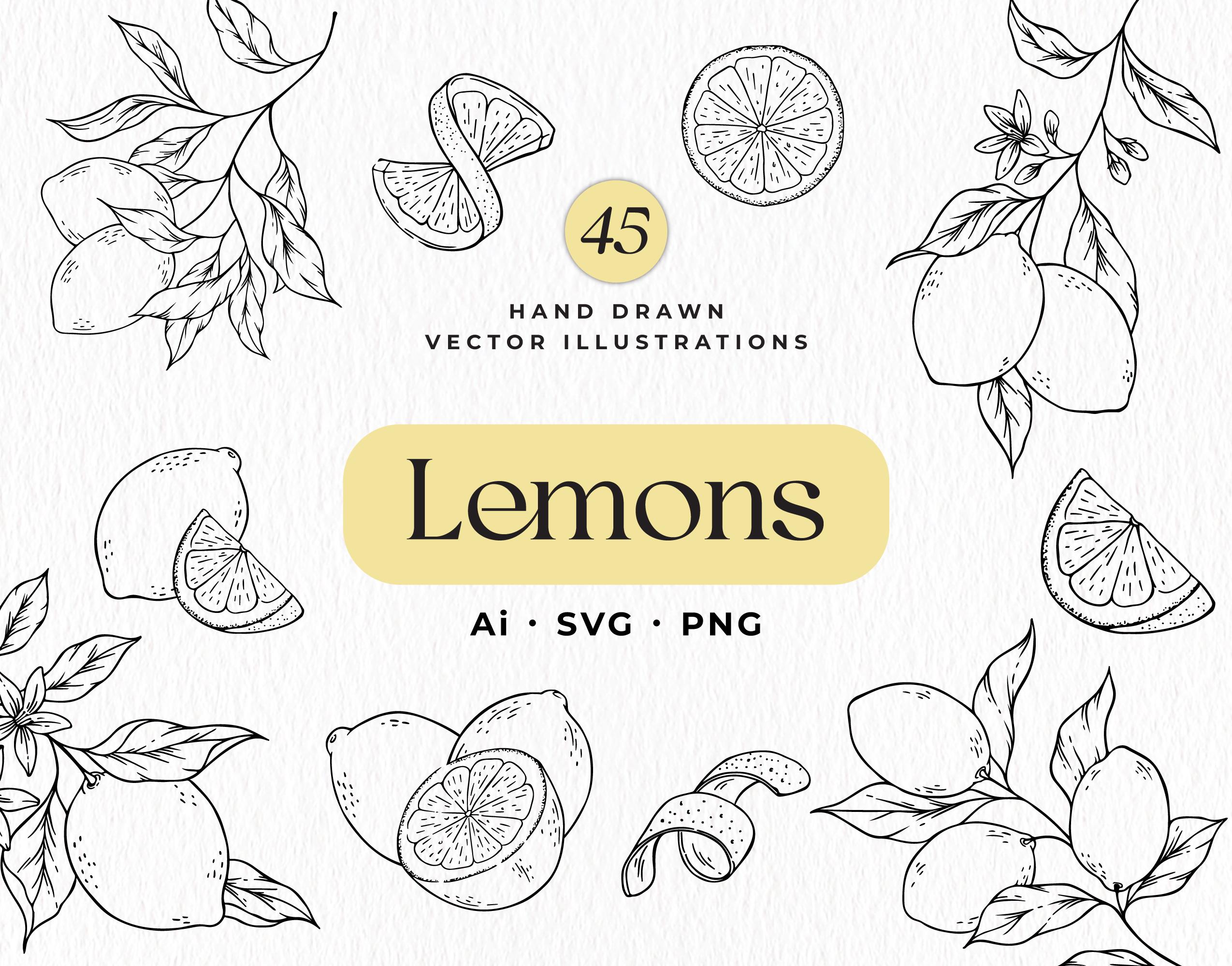 Lemon SVG Bundle, Hand Drawn Vector Lemons, Lemons Clipart, Botanical Lemon Designs, Citrus Flowers
