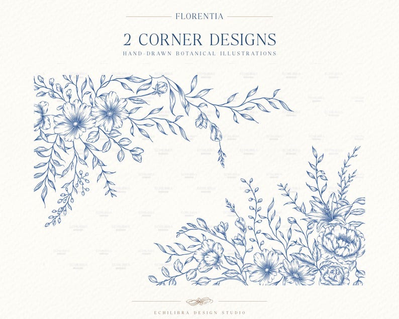 May include: Two blue ink hand-drawn botanical corner designs featuring flowers and leaves on a cream background. The text reads FLORENTIA, 2 CORNER DESIGNS, HAND-DRAWN BOTANICAL ILLUSTRATIONS, and ECHILIBRA DESIGN STUDIO at the bottom.