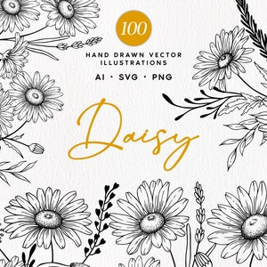 Pacchetto arte linea floreale Daisy, Daisy Botanical SVG, Clipart, Fiori primaverili, Margherite vettoriali disegnate a mano, Corona di margherite, Uso commerciale