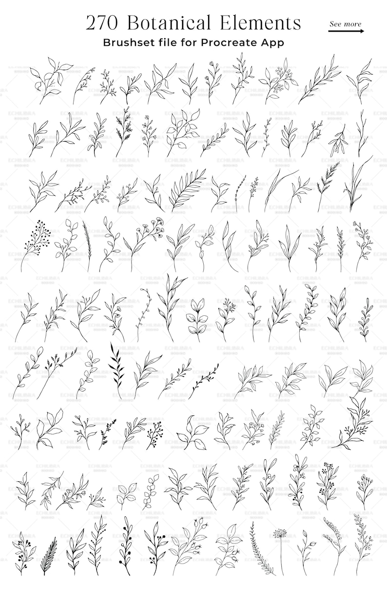 Procreate Flower Stamps, Hand Drawn Botanical Brushes (digital Download ...