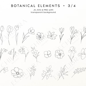 Puede incluir: Una colecci&oacute;n digital de ilustraciones bot&aacute;nicas de l&iacute;nea negra que presenta varias flores, capullos y tallos con hojas. El texto dice BOTANICAL ELEMENTS 3/4, .AI, SVG & PNG with transparent background y ECHILIBRA DESIGN STUDIO.