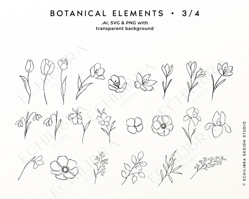Puede incluir: Una colecci&oacute;n digital de ilustraciones bot&aacute;nicas de l&iacute;nea negra que presenta varias flores, capullos y tallos con hojas. El texto dice BOTANICAL ELEMENTS 3/4, .AI, SVG & PNG with transparent background y ECHILIBRA DESIGN STUDIO.