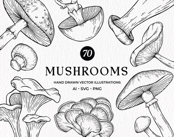 Mushroom Clipart, Mushroom SVG Bundle, Hand Drawn Mushrooms, Fungus Clipart, Botanical Mushrooms, Commercial Use