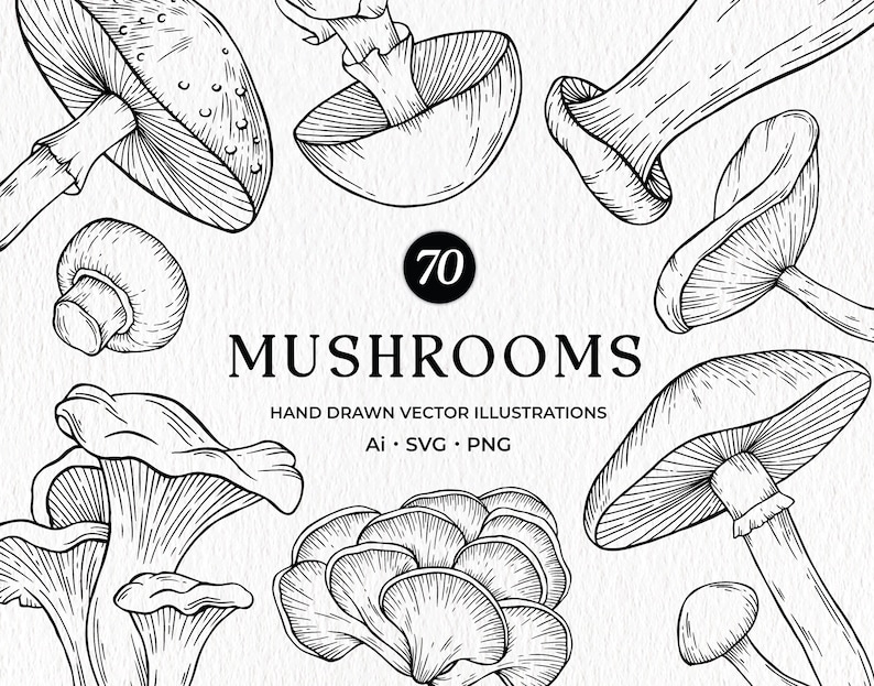 Puede incluir: Un conjunto de 70 ilustraciones vectoriales de setas dibujadas a mano en blanco y negro. Las ilustraciones son de varios estilos e incluyen diferentes tipos de setas.