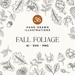 Könnte beinhalten: Eine Sammlung von 56 handgezeichneten Illustrationen von Herbstlaub mit schwarzen Linienzeichnungen von Eicheln, Tannenzapfen, Blättern und Beeren auf weißem Hintergrund. Der Text lautet 56 HAND-DRAWN ILLUSTRATIONS FALL FOLIAGE Ai SVG PNG.
