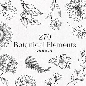 Bundle botanique SVG, Clipart fleurs et feuilles, SVG de fleurs fine ligne, PNG botanique dessiné à la main, usage commercial