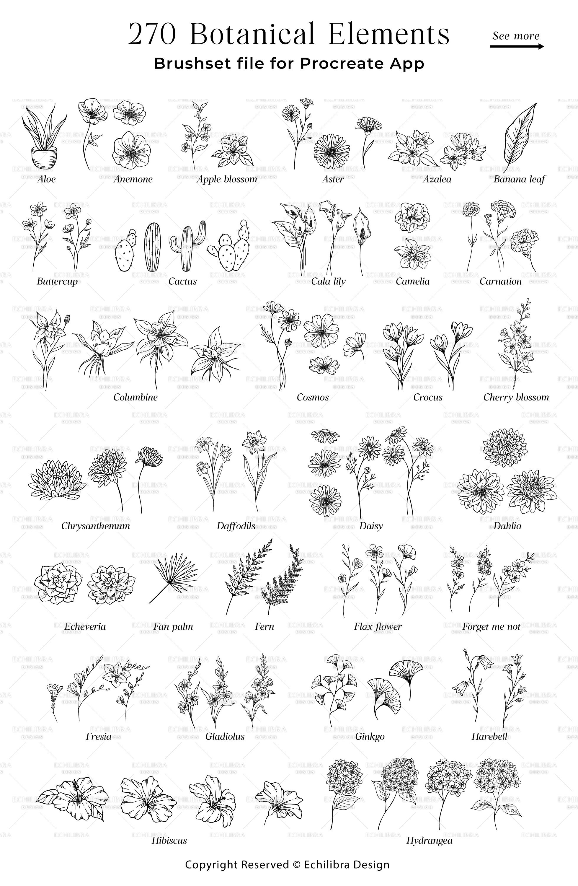 Procreate Flower Stamps, Hand Drawn Botanical Brushes (digital Download ...
