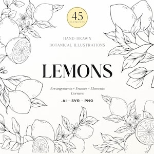 May include: A digital collection of 45 hand-drawn botanical illustrations featuring lemons, leaves, and blossoms. The black and white line art includes arrangements, frames, elements, and corners with the text LEMONS, AI, SVG, PNG.