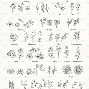 Botanical SVG Bundle, Flowers and Leaves Clipart, Fine Line Florals SVG, Hand Drawn Botanical PNG, Commercial Use image 3