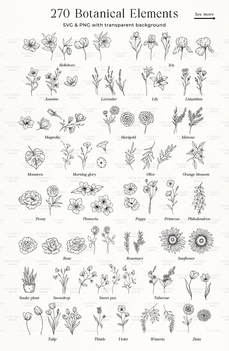 Botanical SVG Bundle, Flowers and Leaves Clipart, Fine Line Florals SVG, Hand Drawn Botanical PNG, Commercial Use image 3