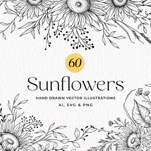 Bundle SVG tournesol dessiné à la main, dessin au trait tournesols, tournesol Vector Illustration Clipart PNG, usage commercial
