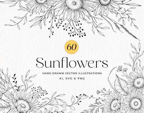 Hand Drawn Sunflower SVG Bundle, Sunflowers Line Art, Sunflower Vector Illustration Clipart PNG, Commercial Use