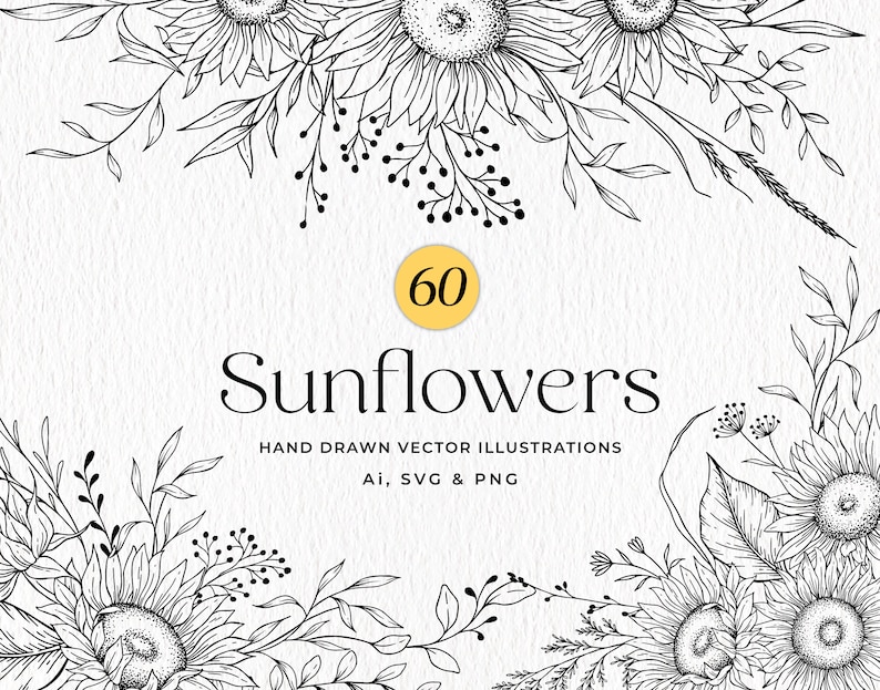 K&ouml;nnte beinhalten: Ein Set mit 60 handgezeichneten Vektorillustrationen von Sonnenblumen. Die Illustrationen sind in Schwarzwei&szlig; gehalten und zeigen verschiedene Sonnenblumendesigns, darunter einzelne Blumen, Str&auml;u&szlig;e und Sonnenblumenstiele.
