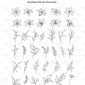 Procreate Floral Stamp Brushes, Procreate Botanical Lily Flowers, Hand ...