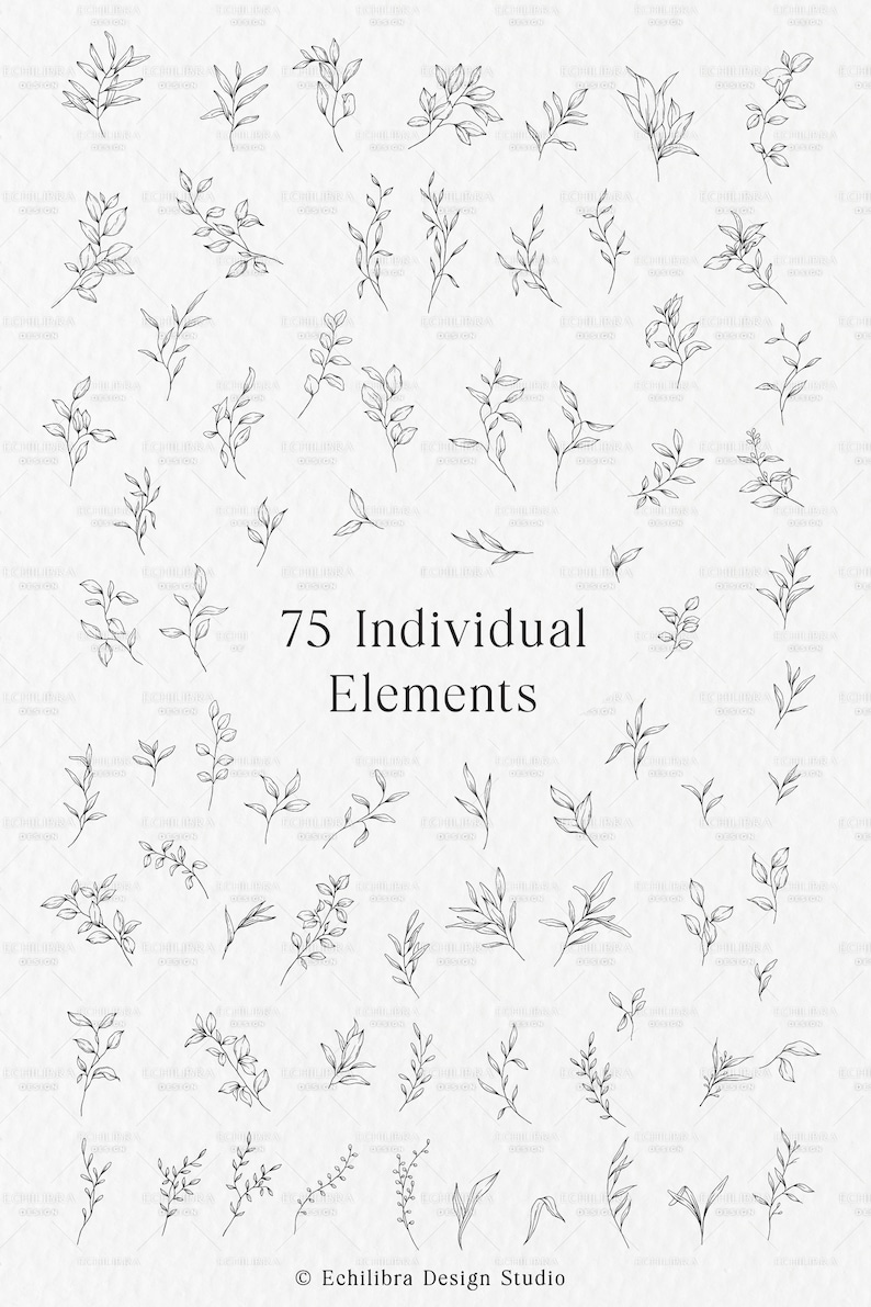 Procreate Botanical Stamp Brushes, Procreate Leaves, Hand Drawn ...