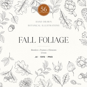 Puede incluir: Una colección de ilustraciones botánicas dibujadas a mano en blanco y negro con follaje de otoño, bellotas, piñas y hojas. El texto dice 56 ELEMENTS, HAND-DRAWN BOTANICAL ILLUSTRATIONS, FALL FOLIAGE, BORDERS, FRAMES, ELEMENTS, CRESTS, .AI, .SVG, .PNG.