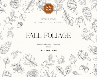 Puede incluir: Una colección de ilustraciones botánicas dibujadas a mano en blanco y negro con follaje de otoño, bellotas, piñas y hojas. El texto dice 56 ELEMENTS, HAND-DRAWN BOTANICAL ILLUSTRATIONS, FALL FOLIAGE, BORDERS, FRAMES, ELEMENTS, CRESTS, .AI, .SVG, .PNG.