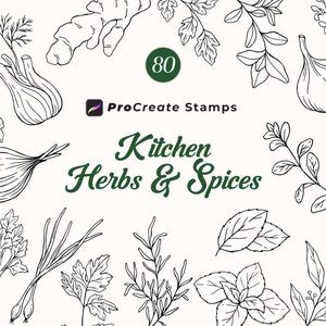 Procreate Küchenkräuterstempel, Kräuter und Gewürze Procreate, botanische Küchenstempel, Küchendesign, handgezeichnete botanische, kommerzielle Nutzung