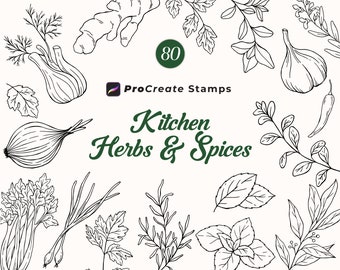 Procreate Kitchen Herbs Stamps, Herbs and Spices Procreate, Botanical Kitchen Stamps, Kitchen Designs, Hand Drawn Botanical, Commercial Use