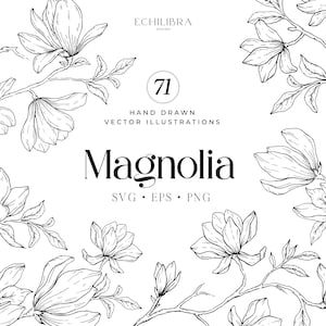 Illustrazione vettoriale disegnata a mano botanica di magnolia, clipart, SVG, arte botanica, corona di magnolia, uso commerciale