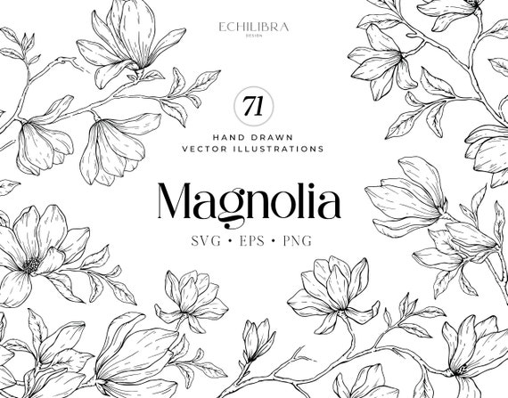Magnolia Hand Drawn Vector Illustrations, Floral svg, Botanical Line Art, Flower Clipart (svg, eps, png)
