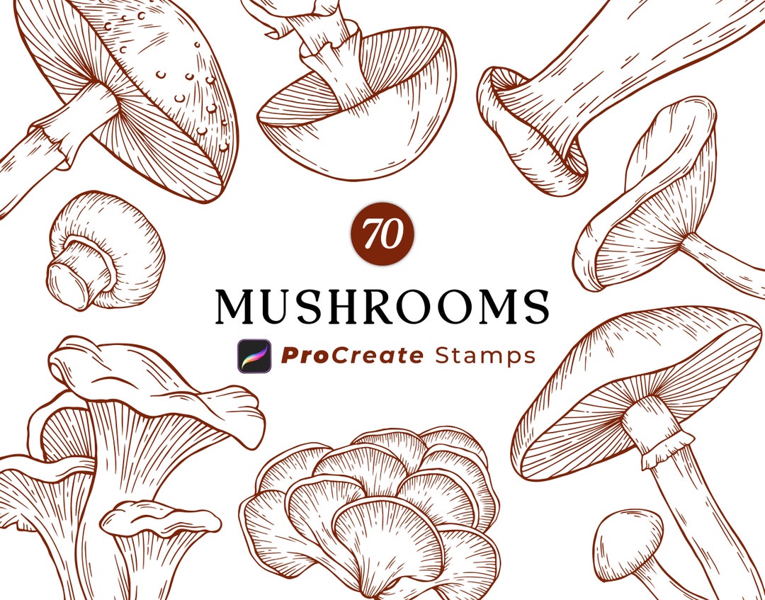 Procreate Mushroom Stamps, Procreate Brushes, Hand Drawn Mushrooms ...