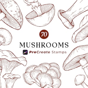 Carimbos de cogumelos Procreate, pincéis Procreate, cogumelos desenhados à mão, carimbos de pincéis Procreate, ilustração de fungos, cogumelos botânicos