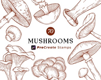 Procreate Mushroom Stamps, Procreate Brushes, Hand Drawn Mushrooms, Procreate Brush Stamps, Fungus Illustration, Botanical Mushrooms