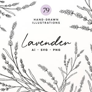 May include: A collection of 79 hand-drawn black and white lavender illustrations. The text reads 79 HAND-DRAWN ILLUSTRATIONS, Lavender, and Ai SVG PNG. The design features detailed line art of lavender sprigs arranged around the central text.