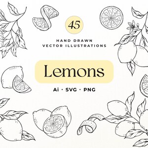 Citron Clipart-paket, handritade citrusramar, arrangemang och botaniska element, SVG PNG