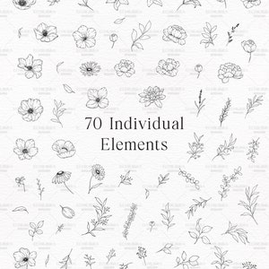 Procreate Flower Stamp Brush Set, Hand Drawn Botanical Stamps (digital ...
