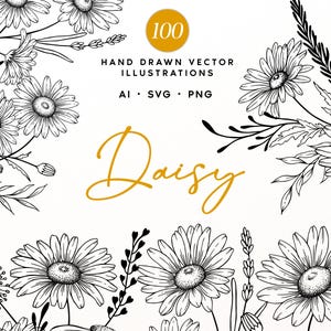May include: A collection of black and white hand-drawn daisy illustrations featuring various floral arrangements. The text reads 100 HAND DRAWN VECTOR ILLUSTRATIONS AI SVG PNG Daisy. The design includes detailed petals, stems, and leaves.