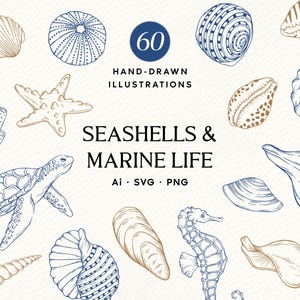Puede incluir: Una colección de 60 ilustraciones dibujadas a mano con conchas marinas y vida marina, incluyendo una tortuga, un caballito de mar, una estrella de mar y varias conchas en tinta azul y bronceado. El texto dice 60 HAND-DRAWN ILLUSTRATIONS SEASHELLS & MARINE LIFE Ai SVG PNG.