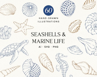 Könnte beinhalten: Eine Sammlung von 60 handgezeichneten Illustrationen mit Muscheln und Meereslebewesen, darunter eine Meeresschildkröte, ein Seepferdchen, ein Seestern und verschiedene Muscheln in blauer und beiger Tinte. Der Text lautet 60 HAND-DRAWN ILLUSTRATIONS SEASHELLS & MARINE LIFE Ai SVG PNG.