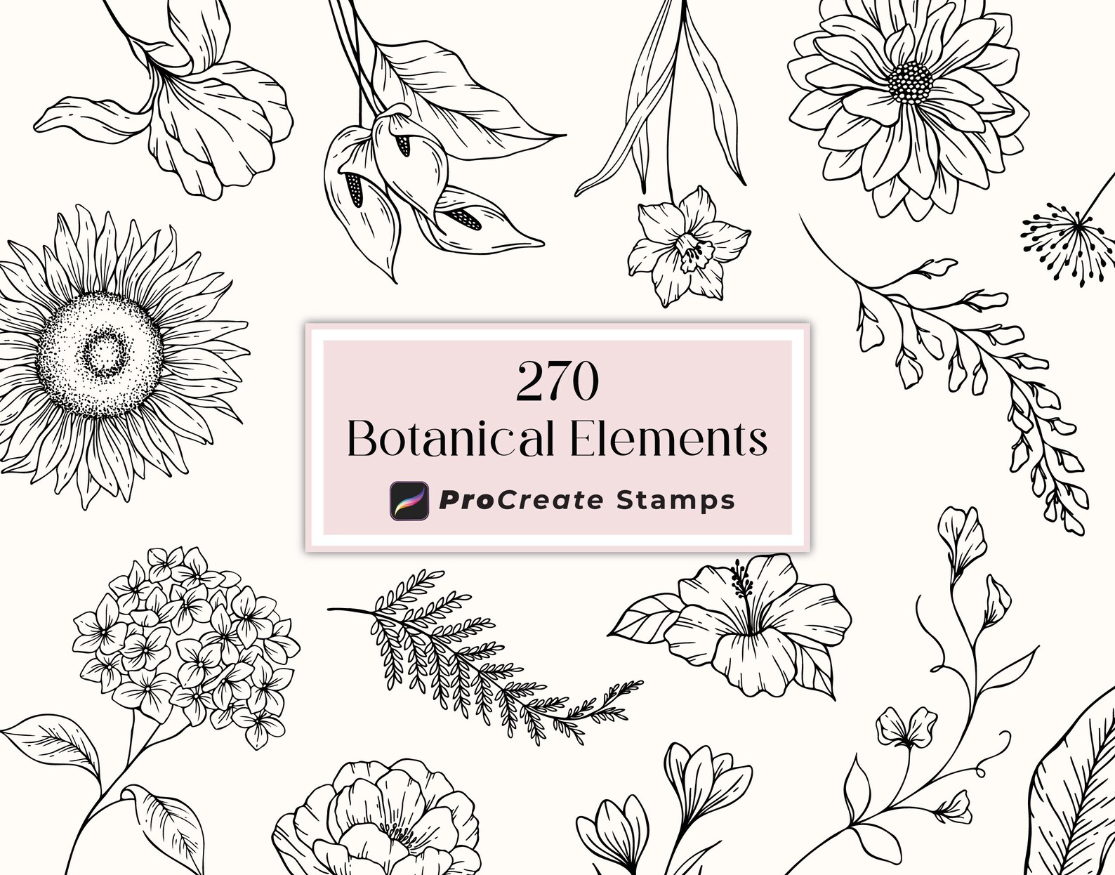 Procreate Flower Stamps, Hand Drawn Botanical Brushes (digital Download ...