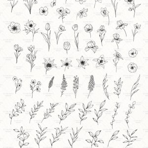 K&ouml;nnte beinhalten: Ein Set mit 65 einzelnen Schwarzwei&szlig;-Linienzeichnungen von Blumen und Bl&auml;ttern. Die Zeichnungen sind einfach und elegant und eignen sich perfekt f&uuml;r eine Vielzahl von kreativen Projekten.