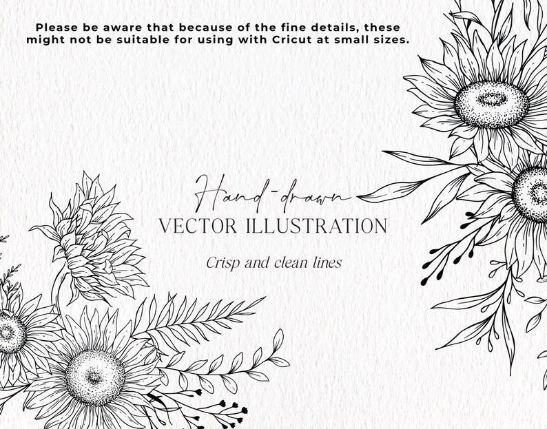 K&ouml;nnte beinhalten: Schwarz-wei&szlig;-Linienkunst-Illustration von Sonnenblumen und Laub. Der Text "Hand-drawn VECTOR ILLUSTRATION Crisp and clean lines" ist im Bild enthalten.