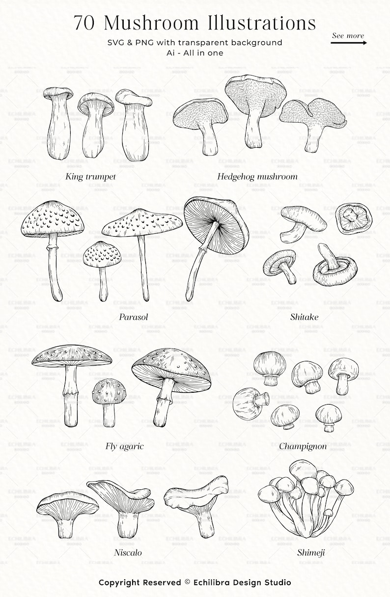 Puede incluir: Una colecci&oacute;n de 70 dibujos en blanco y negro de diferentes tipos de setas. Las setas est&aacute;n dibujadas con un estilo realista e incluyen detalles como las l&aacute;minas, los sombreros y los tallos. Las ilustraciones est&aacute;n etiquetadas con los nombres de las setas, como "Trompeta de los muertos", "Hongo erizo", "Parasol", "Shiitake", "Amanita muscaria", "Champi&ntilde;&oacute;n", "Trompeta amarilla" y "Shimeji".