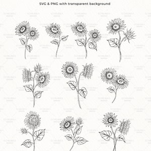 K&ouml;nnte beinhalten: Zehn Schwarzwei&szlig;-Zeichnungen von Sonnenblumenzweigen. Jeder Zweig hat mehrere Sonnenblumen in verschiedenen Bl&uuml;hstadien. Der Text "10 Branches" und "SVG & PNG mit transparentem Hintergrund" befindet sich oben im Bild. Der Text "Copyright Reserved &copy; Echilibra Design" befindet sich unten im Bild.