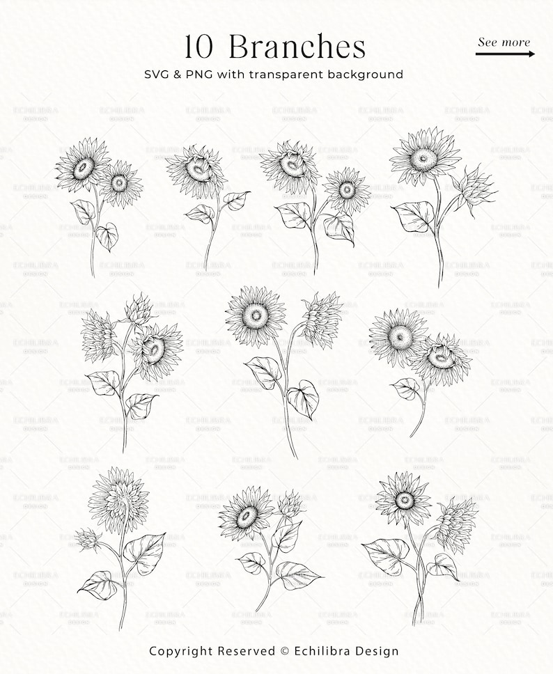 K&ouml;nnte beinhalten: Zehn Schwarzwei&szlig;-Zeichnungen von Sonnenblumenzweigen. Jeder Zweig hat mehrere Sonnenblumen in verschiedenen Bl&uuml;hstadien. Der Text "10 Branches" und "SVG & PNG mit transparentem Hintergrund" befindet sich oben im Bild. Der Text "Copyright Reserved &copy; Echilibra Design" befindet sich unten im Bild.
