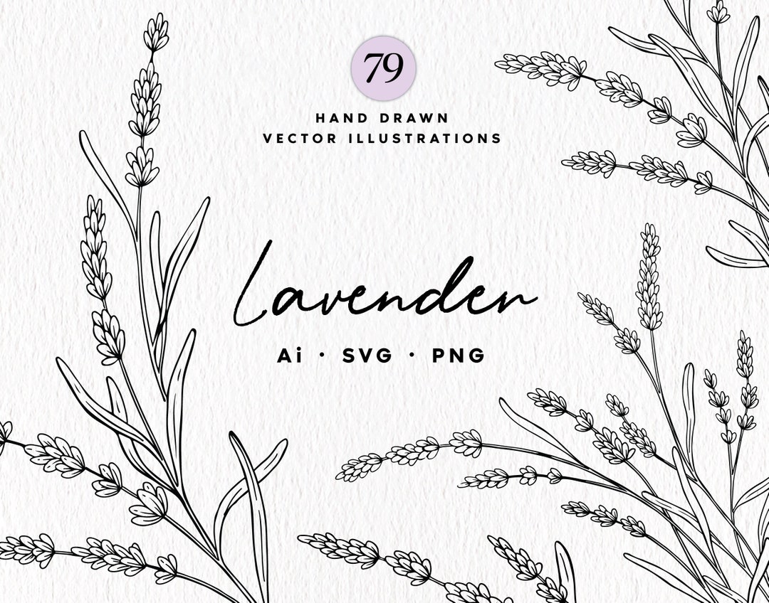 Lavender SVG Bundle Hand Drawn Lavender Designs Lavender - Etsy