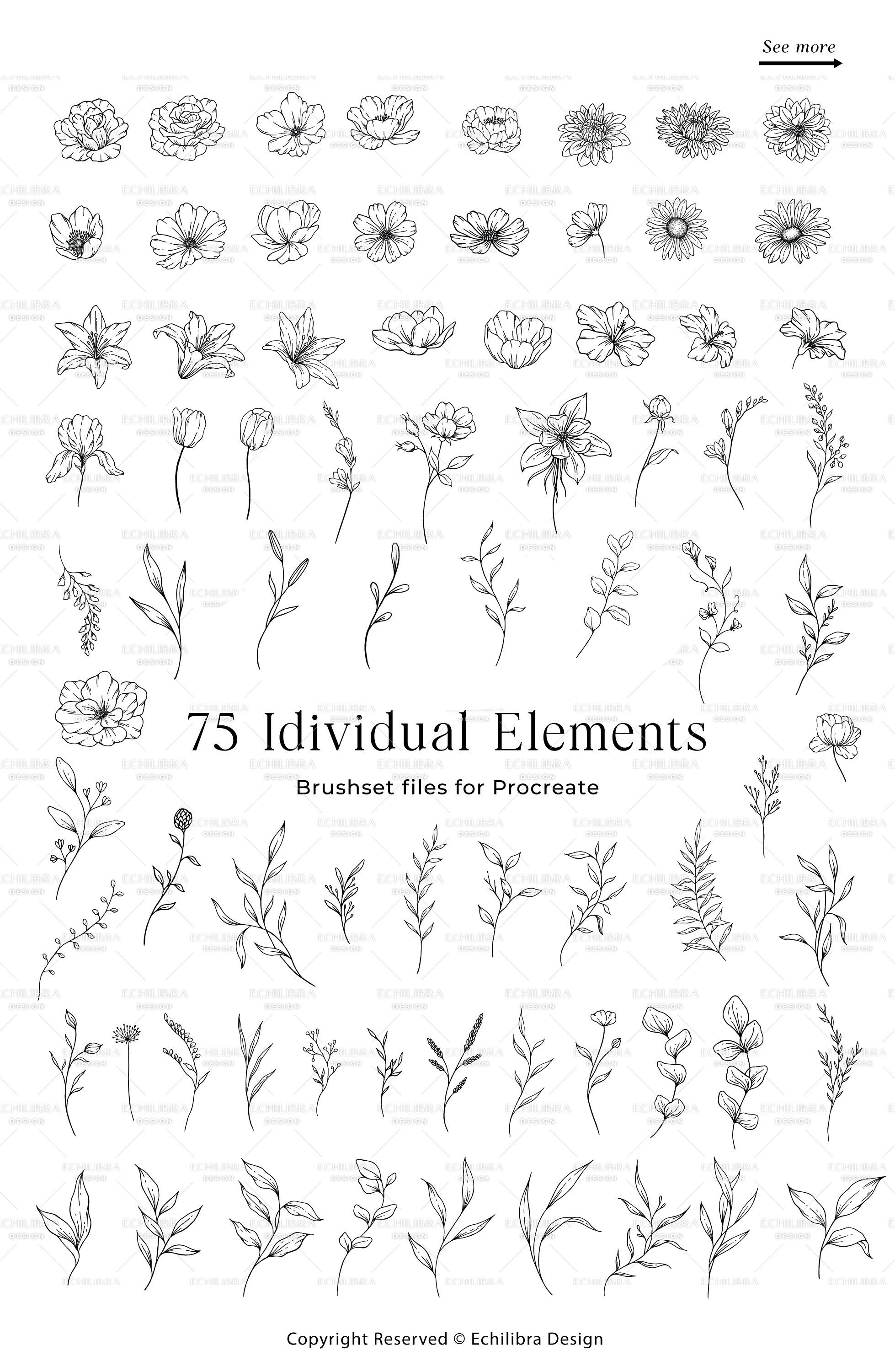 Procreate Floral Line Art, Flower Stamps, Tattoo Brushes, Procreate ...