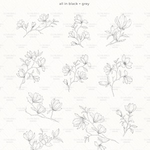 May include: Ten black and grey line drawings of magnolia branches with flowers. The title "10 Branches" and "all in black + grey" are at the top of the image. The text "See more" with an arrow pointing to the right is at the top right of the image. The text "Copyright Reserved &copy; Echilibra Design" is at the bottom of the image.