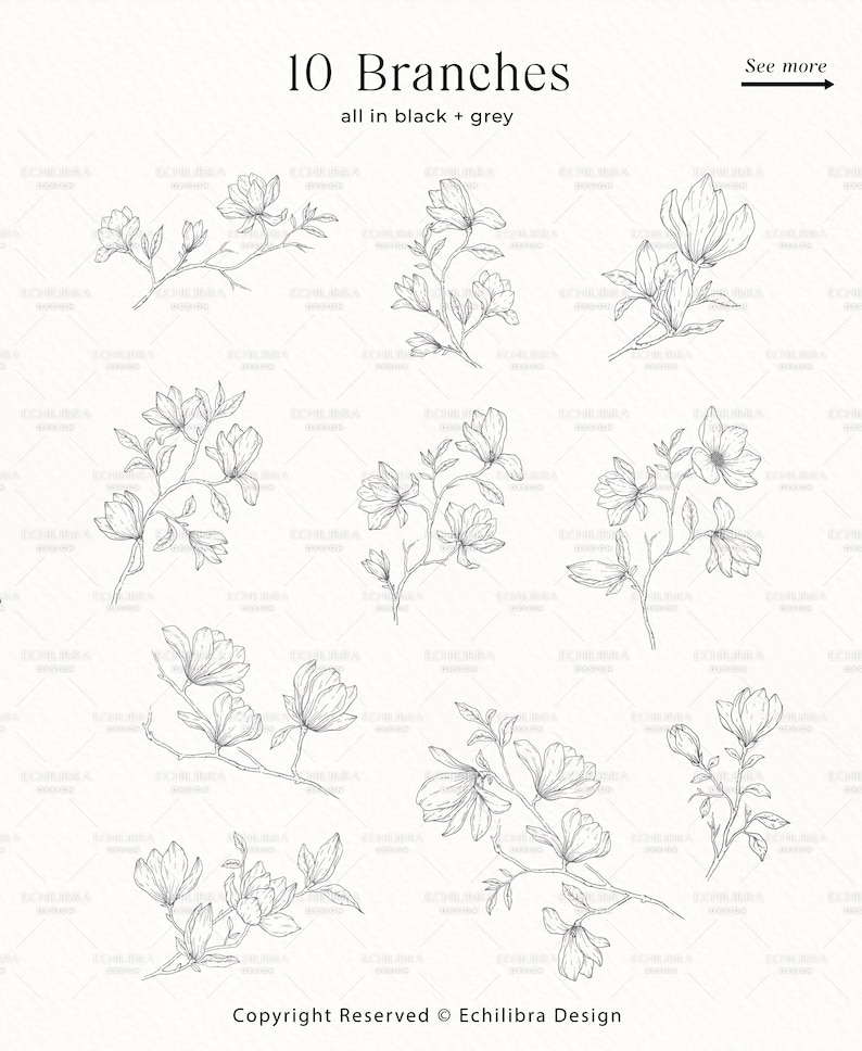 May include: Ten black and grey line drawings of magnolia branches with flowers. The title "10 Branches" and "all in black + grey" are at the top of the image. The text "See more" with an arrow pointing to the right is at the top right of the image. The text "Copyright Reserved &copy; Echilibra Design" is at the bottom of the image.