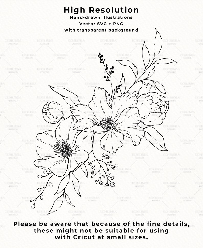 Floral Line Art, Botanical Line Art SVG, Clipart, Wedding Flowers, Hand Drawn Vector Flowers and Plants, Commercial Use image 9