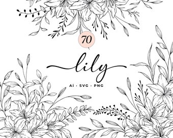 Lily Floral Line Art, Lily SVG bundle, Botanical Flowers Line Art SVG, Clipart, Hand Drawn Vector Flowers and Plants, Commercial Use