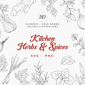 Pacote SVG de ervas de cozinha, especiarias, cozinha botânica, clipart de ervas desenhadas à mão, folhas SVG, uso comercial